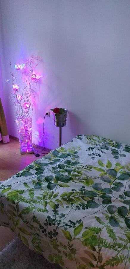 Aphrodite Rose Sunny Beach Buitenkant foto